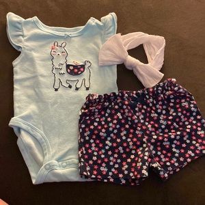 Carters Baby girl outfit